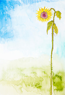 JPG 식물 꽃 컬러 백그라운드 잎 한송이 일러스트 자연 해바라기 수채화 미술 풍경 사람없음 노란색 공백 시화 그림 국내일러스트 1 문화예술 생태계 송이 파일형식