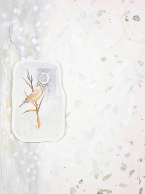 JPG 나무 식물 동물 한마리 계절 백그라운드 겨울 일러스트 자연 조류 수채화 프레임 미술 풍경 사람없음 공백 달 나뭇가지 눈 야간 저녁 초승달 시화 그림 겨울배경 국내일러스트 자연요소 1 날씨 문화예술 생태계 파일형식