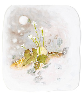 JPG 식물 꽃 백그라운드 잎 일러스트 자연 지붕 수채화 주택 초가집 미술 풍경 사람없음 태양 시골 덩굴 시화 그림 시골집 박 국내일러스트 자연요소 문화예술 한옥 건물 생태계 파일형식