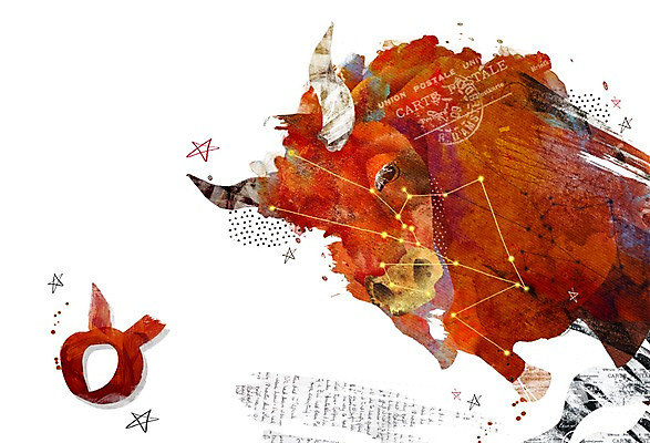 PSD 동물 척추동물 기호 별 컬러 일러스트 포유류 뿔 사람없음 갈색 별자리 신비 황소 황소자리 별자리기호 국내일러스트 자연요소 문자 컨셉 소 파일형식