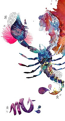 PSD 기호 별 일러스트 사람없음 별자리 물방울 신비 전갈 전갈자리 별자리기호 국내일러스트 자연요소 문자 컨셉 절지류 파일형식