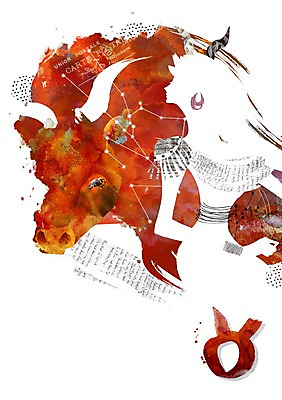 PSD 동물 기호 여자 실루엣 별 컬러 일러스트 뿔 그림자 한명 성인 갈색 별자리 신비 황소 황소자리 별자리기호 투우사 여자만 여자한명만 성인여자만 성인만 국내일러스트 자연요소 직업 문자 1 컨셉 촬영기법 사람 소 파일형식