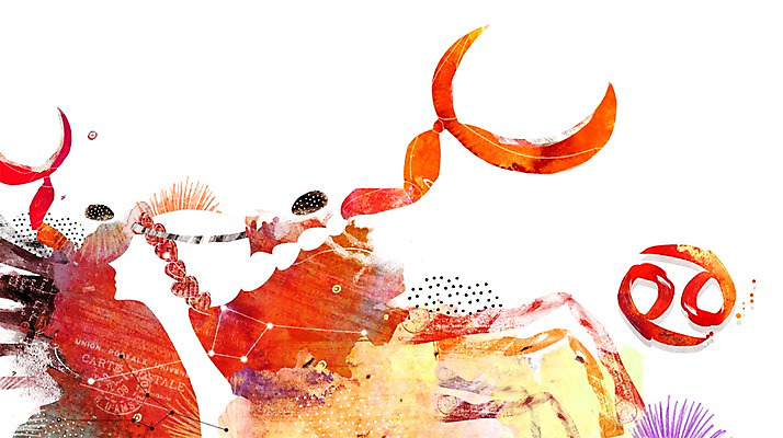 PSD 기호 여자 실루엣 별 컬러 일러스트 집게 갑각류 그림자 한명 성인 빨간색 별자리 게 신비 게자리 별자리기호 여자만 여자한명만 성인여자만 성인만 국내일러스트 자연요소 동물 문자 1 컨셉 촬영기법 사람 파일형식