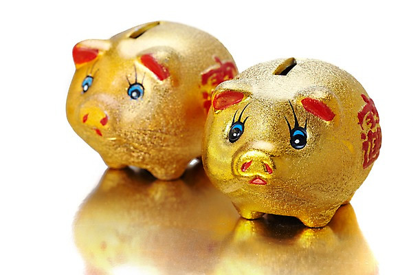 포토 JPG 스튜디오촬영 동물 새해 실내 사람없음 저축 돼지저금통 저금통 돼지 절약 오브젝트 복돼지 국내포토 컨셉 포유류 내부 금융 파일형식