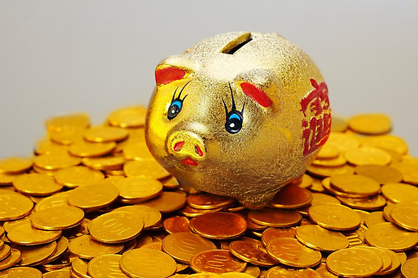 포토 JPG 스튜디오촬영 동물 돈 새해 실내 사람없음 동전 저축 돼지저금통 저금통 돼지 절약 백원 오브젝트 복돼지 국내포토 컨셉 포유류 내부 금융 재산 파일형식