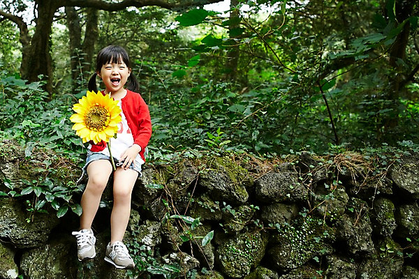 포토 JPG 주간 전신 나무 식물 라이프스타일 여자 꽃 딸 어린이라이프 어린이 여행 휴가 해바라기 한국 돌담 한명 미소 웃음 들기 사람 앉기 동양인 소녀 야외 앞모습 담장 제주도 소풍 산책 유치원생 한국인 돌_바위 풀 숲속 숲 순수 즐거움 상쾌 비자림 여자만 여자한명만 어린이만 소녀만 소녀한명만 국내포토 자연요소 1 감정 아시아 뷰포인트 컨셉 가족 모션 휴식 표정 인종 생활 야외활동 파일형식
