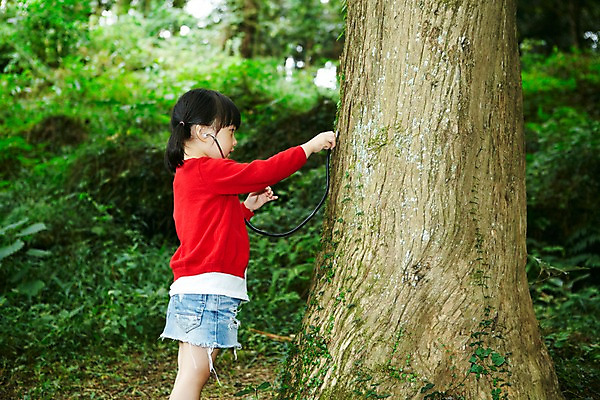 포토 JPG 주간 나무 식물 라이프스타일 여자 어린이교육 교육 딸 어린이라이프 어린이 여행 컨셉 청진기 자연 놀이 휴가 한국 한명 서기 들기 사람 동양인 소녀 야외 옆모습 아웃포커스 제주도 소풍 자연보호 환경 산책 유치원생 진료 한국인 숲속 숲 순수 즐거움 상쾌 비자림 여자만 여자한명만 어린이만 소녀만 소녀한명만 국내포토 자연요소 1 감정 아시아 뷰포인트 의학 가족 의료기기 모션 휴식 촬영기법 인종 생활 야외활동 보호 생태계 파일형식
