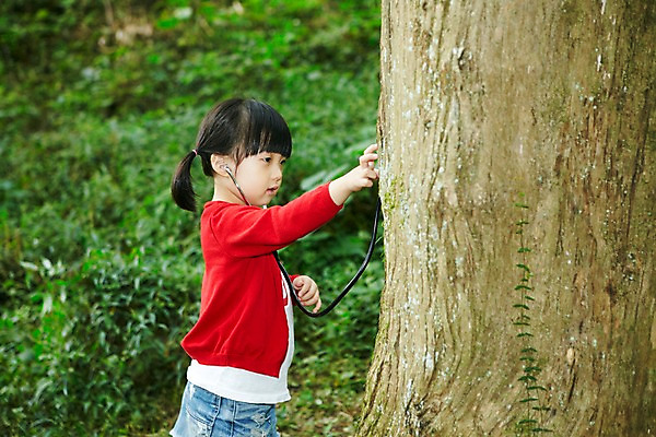 포토 JPG 주간 나무 식물 라이프스타일 여자 어린이교육 교육 딸 어린이라이프 어린이 여행 컨셉 청진기 자연 놀이 휴가 한국 한명 서기 들기 사람 동양인 소녀 야외 옆모습 아웃포커스 제주도 소풍 자연보호 환경 산책 유치원생 진료 한국인 숲속 숲 순수 즐거움 상쾌 비자림 여자만 여자한명만 어린이만 소녀만 소녀한명만 국내포토 자연요소 1 감정 아시아 뷰포인트 의학 가족 의료기기 모션 휴식 촬영기법 인종 생활 야외활동 보호 생태계 파일형식