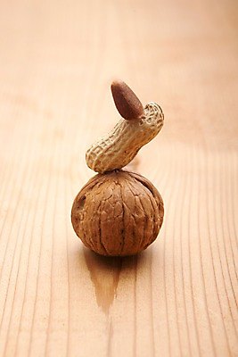 포토 JPG 스튜디오촬영 열매 음식 식재료 실내 사람없음 농작물 쌓기 여러개 다양 견과류 껍질 세개 땅콩 호두 정월대보름 잣 부럼 국내포토 식물 명절 다수 농업 모션 3 내부 파일형식