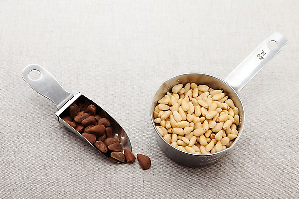 포토 JPG 스튜디오촬영 열매 음식 식재료 실내 사람없음 농작물 금속 여러개 다양 견과류 도구 공구 농기구 모종삽 삽 철 담기 정월대보름 잣 부럼 스쿱 국내포토 식물 명절 다수 농업 모션 재질 내부 파일형식