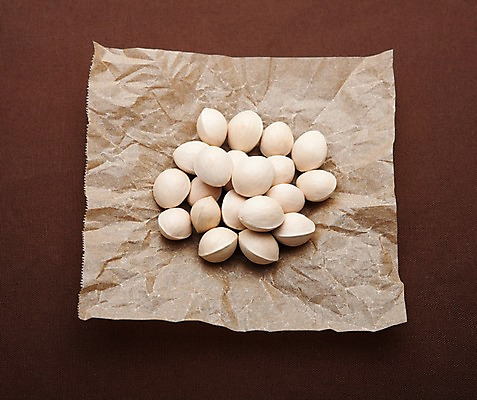 포토 JPG 스튜디오촬영 열매 종이 음식 식재료 실내 사람없음 농작물 여러개 견과류 껍질 포장지 정월대보름 부럼 구김 은행열매 국내포토 식물 명절 다수 농업 포장 모션 내부 파일형식