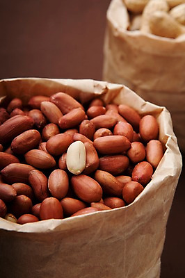 포토 JPG 스튜디오촬영 열매 음식 다수 식재료 봉투 실내 근접촬영 사람없음 아웃포커스 농작물 종이봉투 여러개 견과류 껍질 담기 땅콩 정월대보름 부럼 국내포토 식물 명절 뷰포인트 농업 모션 촬영기법 내부 파일형식