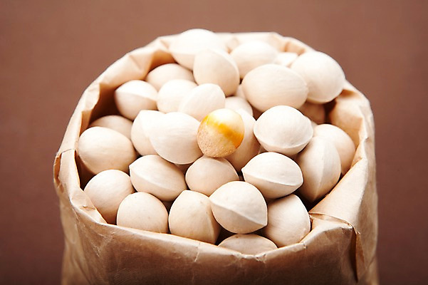 포토 JPG 스튜디오촬영 열매 음식 다수 식재료 봉투 실내 사람없음 농작물 종이봉투 여러개 견과류 껍질 담기 정월대보름 부럼 은행열매 국내포토 식물 명절 농업 모션 내부 파일형식