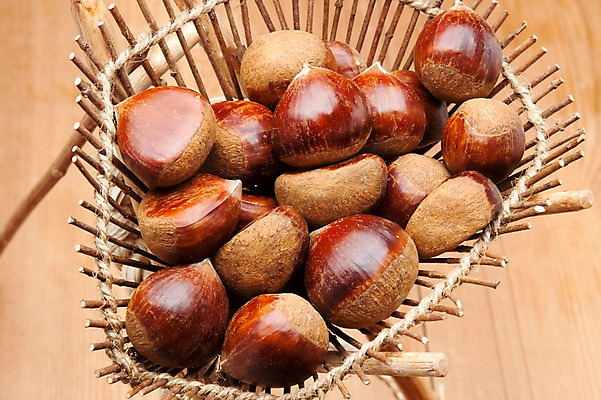 포토 JPG 스튜디오촬영 열매 음식 생활용품 다수 식재료 실내 근접촬영 사람없음 농작물 여러개 견과류 운반 밤 농기구 오브젝트 정월대보름 부럼 지게 국내포토 식물 명절 뷰포인트 농업 내부 파일형식