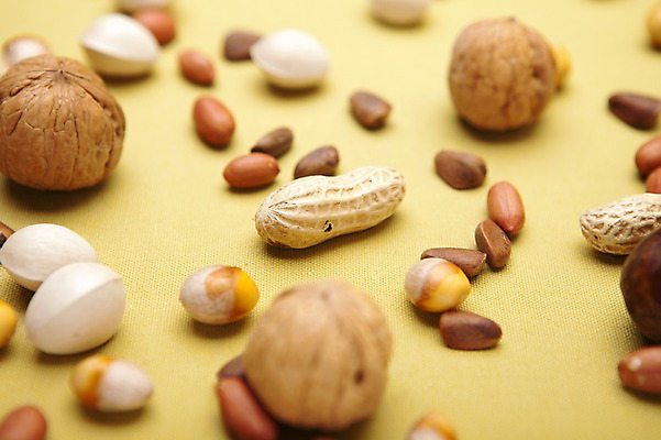 포토 JPG 스튜디오촬영 열매 음식 백그라운드 패턴 식재료 실내 근접촬영 사람없음 아웃포커스 농작물 여러개 다양 견과류 껍질 땅콩 호두 정월대보름 잣 부럼 은행열매 국내포토 식물 명절 뷰포인트 다수 무늬 농업 촬영기법 내부 파일형식