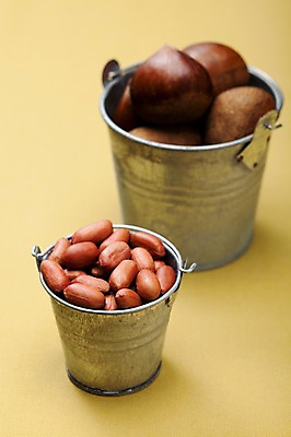 포토 JPG 스튜디오촬영 열매 음식 백그라운드 식재료 실내 사람없음 농작물 여러개 다양 견과류 껍질 밤 양동이 담기 땅콩 정월대보름 부럼 국내포토 식물 명절 다수 농업 모션 내부 파일형식