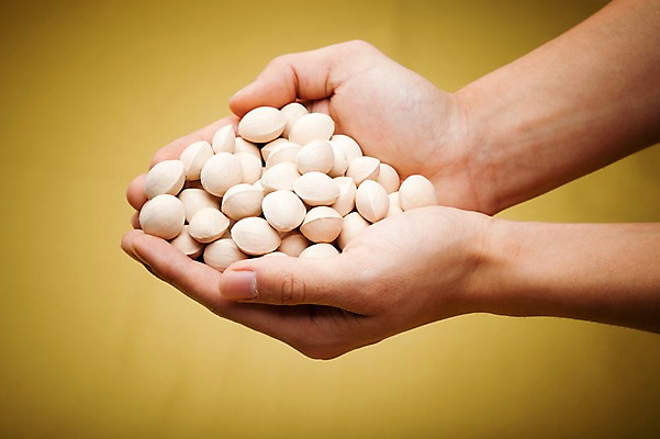 포토 JPG 스튜디오촬영 손 열매 음식 다수 식재료 실내 한명 들기 손짓 신체부위 농작물 여러개 견과류 양손 껍질 정월대보름 손모으기 부럼 은행열매 국내포토 식물 1 명절 농업 모션 사람 내부 파일형식