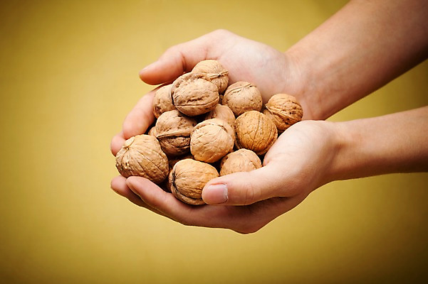 포토 JPG 스튜디오촬영 손 열매 음식 다수 식재료 실내 한명 들기 손짓 신체부위 농작물 여러개 견과류 양손 껍질 호두 정월대보름 손모으기 부럼 국내포토 식물 1 명절 농업 모션 사람 내부 파일형식