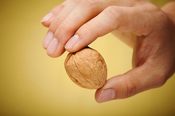 포토 JPG 스튜디오촬영 손 열매 음식 식재료 손가락 한손 실내 한명 들기 손짓 신체부위 농작물 한개 견과류 껍질 호두 정월대보름 부럼 국내포토 식물 1 명절 농업 모션 사람 내부 파일형식