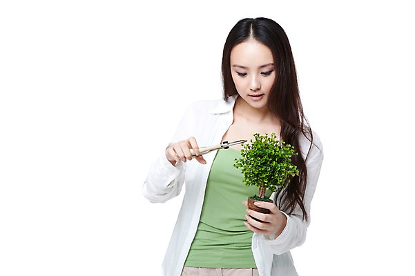 포토 JPG 스튜디오촬영 외국인 식물 우먼라이프 라이프스타일 긴머리 여자 화분 여유 남방 휴식 실내 한명 들기 누끼 사람 동양인 상반신 20대 성인 취미 앞모습 캐주얼 중국인 공구 원예 가지치기 여자만 여자한명만 성인여자만 청년만 청년여자만 성인한명만 청년여자한명만 성인여자한명만 성인만 국내포토 가위손 1 헤어스타일 옷 감정 뷰포인트 컨셉 셔츠 모션 인종 손짓 청년 내부 생활 도구 파일형식