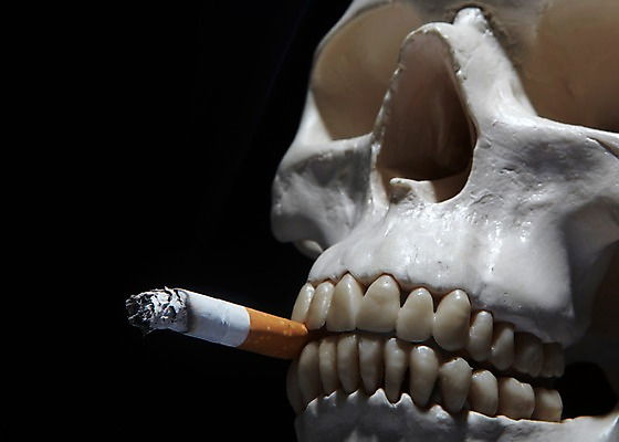 포토 JPG 스튜디오촬영 캠페인 인체모형 해골 흡연 담배 실내 건강 경고 사람없음 모형 건강관리 물기 담뱃재 알림 금연 담배꽁초 해골모형 국내포토 모션 뼈 관리 내부 사회이슈 파일형식