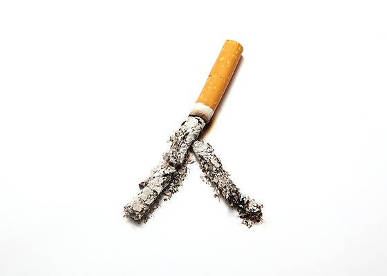 포토 JPG 스튜디오촬영 캠페인 흡연 담배 실내 건강 경고 누끼 사람없음 건강관리 담뱃재 알림 금연 기호식품 담배꽁초 한개비 국내포토 1 음식 관리 내부 사회이슈 파일형식