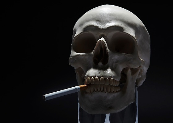 포토 JPG 스튜디오촬영 캠페인 인체모형 해골 흡연 담배 실내 건강 경고 사람없음 모형 건강관리 물기 알림 금연 한개비 해골모형 국내포토 1 모션 뼈 관리 내부 사회이슈 파일형식