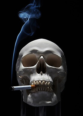 포토 JPG 스튜디오촬영 캠페인 인체모형 해골 흡연 담배 실내 건강 경고 사람없음 모형 건강관리 연기 물기 담뱃재 알림 금연 담배꽁초 담배연기 해골모형 국내포토 모션 뼈 관리 내부 사회이슈 파일형식