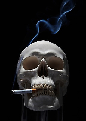 포토 JPG 스튜디오촬영 캠페인 인체모형 해골 흡연 담배 실내 건강 경고 사람없음 모형 건강관리 연기 물기 담뱃재 알림 금연 담배꽁초 담배연기 해골모형 국내포토 모션 뼈 관리 내부 사회이슈 파일형식