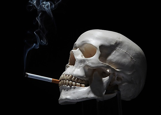 포토 JPG 스튜디오촬영 캠페인 인체모형 해골 흡연 담배 실내 건강 경고 사람없음 모형 건강관리 연기 물기 담뱃재 알림 금연 담배꽁초 담배연기 해골모형 국내포토 모션 뼈 관리 내부 사회이슈 파일형식