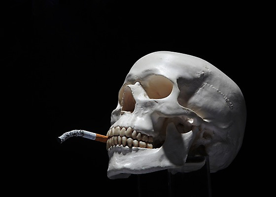 포토 JPG 스튜디오촬영 캠페인 인체모형 해골 흡연 담배 실내 건강 경고 사람없음 모형 건강관리 물기 담뱃재 알림 금연 담배꽁초 해골모형 국내포토 모션 뼈 관리 내부 사회이슈 파일형식