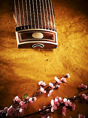 포토 JPG 스튜디오촬영 식물 한국문화 한국전통 전통 꽃 아시아 전통문화 악기 음악 현악기 전통소품 한국 실내 국악기 국악 사람없음 하이앵글 오리엔탈 우아함 오브젝트 과거 가야금 국내포토 동양문화 나라 문화 뷰포인트 컨셉 문화예술 내부 파일형식