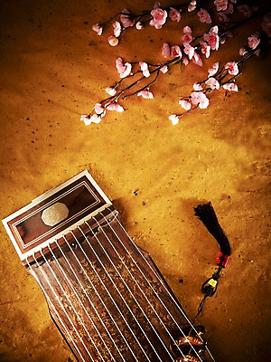 포토 JPG 스튜디오촬영 식물 한국문화 한국전통 전통 꽃 아시아 전통문화 악기 음악 현악기 전통소품 한국 실내 국악기 국악 사람없음 하이앵글 오리엔탈 우아함 오브젝트 노리개 과거 가야금 국내포토 동양문화 나라 문화 뷰포인트 컨셉 문화예술 내부 파일형식