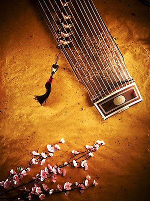 포토 JPG 스튜디오촬영 식물 한국문화 한국전통 전통 꽃 아시아 전통문화 악기 음악 현악기 전통소품 한국 실내 국악기 국악 사람없음 하이앵글 오리엔탈 우아함 오브젝트 노리개 과거 가야금 국내포토 동양문화 나라 문화 뷰포인트 컨셉 문화예술 내부 파일형식