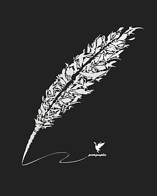 모양 동물 문양 디자인 무늬 패턴 일러스트 조류 털 사람없음 그래픽 장식 깃털 오브젝트 새털 국내일러스트 AI파일 파일형식 벡터