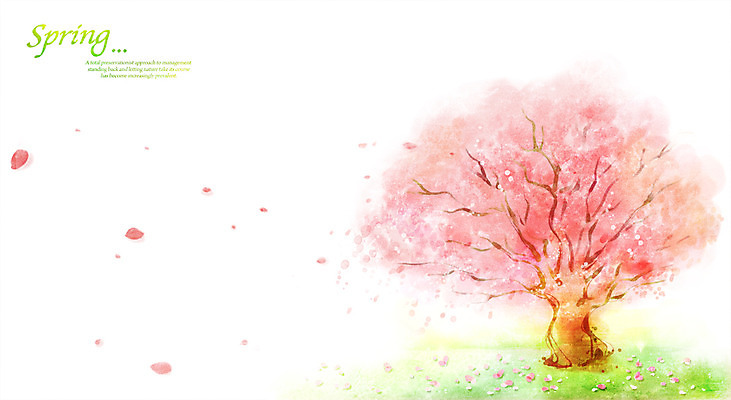 PSD 나무 식물 계절 꽃잎 꽃 분홍색 백그라운드 잎 일러스트 따뜻함 꽃나무 한그루 풍경 사람없음 봄 벚꽃 벚나무 낙화 봄배경 국내일러스트 1 컬러 파일형식