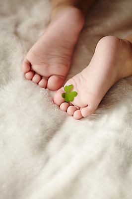 포토 JPG 식물 여자 잎 신체 발 한명 사람 신체부위 이불 아기 클로버 담요 발바닥 세잎클로버 여자만 여자한명만 아기만 여자아기만 여자아기한명만 국내포토 1 침구 파일형식