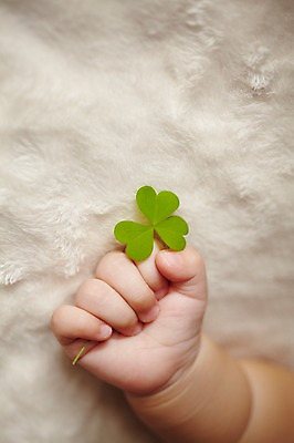 포토 JPG 식물 손 여자 잎 신체 한명 사람 신체부위 이불 아기 잡기 클로버 담요 세잎클로버 아기만 국내포토 1 침구 모션 파일형식