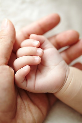 포토 JPG 손 여자 딸 신체 손가락 엄마 손바닥 사람 근접촬영 두명 아웃포커스 신체부위 자녀 아기 국내포토 뷰포인트 가족 촬영기법 파일형식