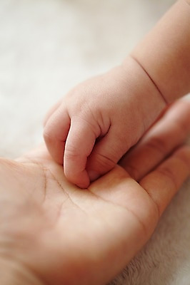 포토 JPG 손 여자 딸 신체 손가락 엄마 손바닥 사람 근접촬영 두명 아웃포커스 신체부위 자녀 아기 국내포토 뷰포인트 가족 촬영기법 파일형식