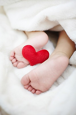 포토 JPG 스튜디오촬영 여자 어린이라이프 신체 발 실내 한명 사람 근접촬영 아웃포커스 신체부위 이불 하트 아기 담요 발바닥 여자만 여자한명만 아기만 여자아기만 여자아기한명만 국내포토 모양 1 라이프스타일 어린이 뷰포인트 침구 촬영기법 내부 파일형식