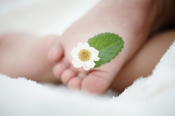 포토 JPG 스튜디오촬영 식물 여자 꽃잎 꽃 어린이라이프 한송이 신체 발 실내 한명 사람 근접촬영 아웃포커스 신체부위 이불 아기 담요 발바닥 여자만 여자한명만 아기만 여자아기만 여자아기한명만 국내포토 1 라이프스타일 어린이 뷰포인트 침구 촬영기법 내부 송이 파일형식