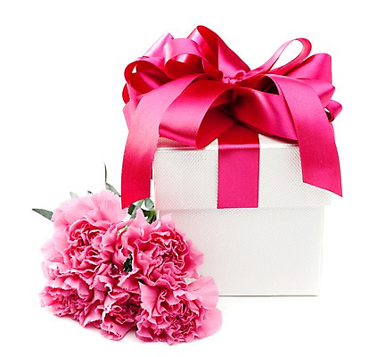 포토 JPG 스튜디오촬영 식물 기념일 꽃 리본 분홍색 컬러 여러송이 잎 포장 실내 선물포장 선물 누끼 이벤트 사람없음 장식 선물상자 상자 카네이션 오브젝트 감사 국내포토 감정 다수 내부 파일형식
