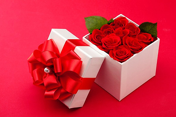 포토 JPG 스튜디오촬영 식물 기념일 꽃 리본 여러송이 잎 포장 실내 선물포장 선물 이벤트 사람없음 장식 빨간색 선물상자 상자 장미 오픈 오브젝트 국내포토 컬러 다수 내부 파일형식