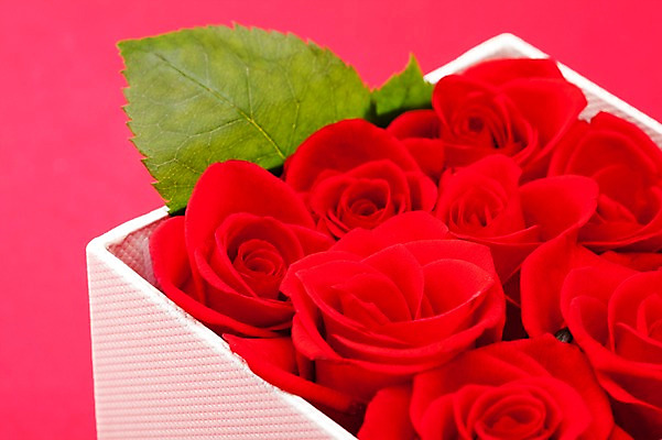 포토 JPG 스튜디오촬영 식물 기념일 꽃 리본 여러송이 잎 포장 실내 선물포장 선물 이벤트 근접촬영 사람없음 장식 빨간색 선물상자 상자 장미 오픈 오브젝트 국내포토 뷰포인트 컬러 다수 내부 파일형식