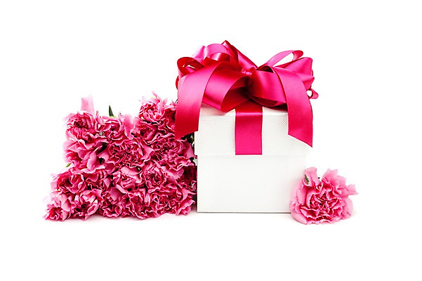 포토 JPG 스튜디오촬영 식물 기념일 꽃 리본 분홍색 컬러 여러송이 잎 포장 실내 선물포장 선물 누끼 이벤트 사람없음 장식 선물상자 상자 카네이션 오브젝트 감사 국내포토 감정 다수 내부 파일형식