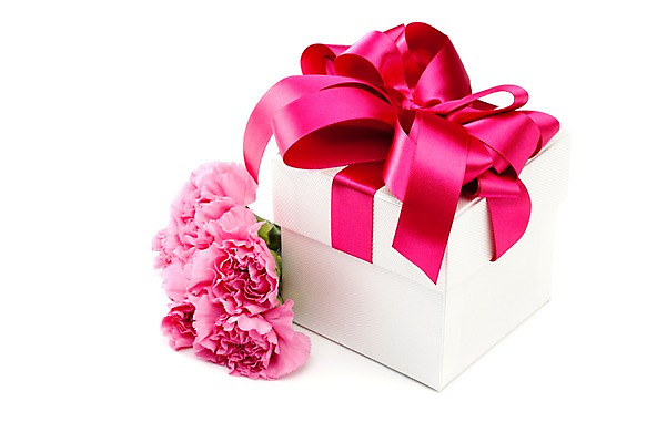 포토 JPG 스튜디오촬영 식물 기념일 꽃 리본 분홍색 컬러 여러송이 잎 포장 실내 선물포장 선물 누끼 이벤트 사람없음 장식 선물상자 상자 카네이션 오브젝트 감사 국내포토 감정 다수 내부 파일형식