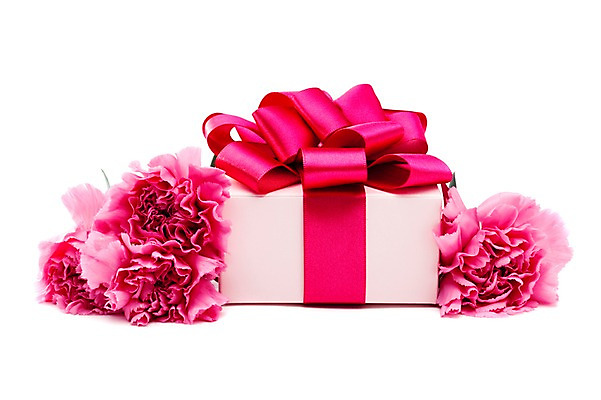 포토 JPG 스튜디오촬영 식물 기념일 꽃 리본 분홍색 컬러 여러송이 잎 포장 실내 선물포장 선물 누끼 이벤트 사람없음 장식 선물상자 상자 카네이션 오브젝트 감사 국내포토 감정 다수 내부 파일형식