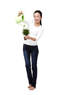 포토 JPG 스튜디오촬영 외국인 나무 식물 해외기획촬영 우먼라이프 라이프스타일 여자 화분 캠페인 2011년중국 실내 한명 서기 미소 웃음 들기 누끼 사람 동양인 20대 성인 앞모습 캐주얼 중국인 자연보호 환경 그린캠페인 물뿌리개 청바지 보호 물주기 원예 나무모형 여자만 여자한명만 성인여자만 청년만 청년여자만 성인한명만 청년여자한명만 성인여자한명만 성인만 국내포토 1 옷 뷰포인트 컨셉 바지 모션 자연 표정 인종 청년 취미 내부 생활 모형 파일형식