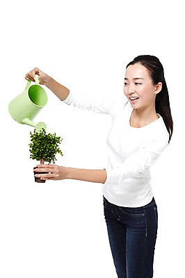 포토 JPG 스튜디오촬영 외국인 나무 식물 해외기획촬영 우먼라이프 라이프스타일 여자 화분 캠페인 2011년중국 실내 한명 서기 미소 웃음 들기 누끼 사람 동양인 20대 성인 옆모습 캐주얼 중국인 자연보호 환경 그린캠페인 물뿌리개 청바지 보호 물주기 원예 나무모형 여자만 여자한명만 성인여자만 청년만 청년여자만 성인한명만 청년여자한명만 성인여자한명만 성인만 국내포토 1 옷 뷰포인트 컨셉 바지 모션 자연 표정 인종 청년 취미 내부 생활 모형 파일형식
